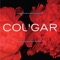 Digit Cleaver (feat. Paul Smith of Maximo Park) - Cougar lyrics