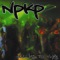 Spin it (feat. DJ Question This) - NPKP lyrics