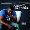 Pinney Woods - Penny Woods