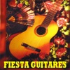 Fiesta Guitare