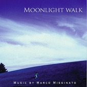 Moonlight Walk artwork