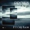 If U Only Knew (Steve Mill Remix) [feat. Nega] - Prosis lyrics