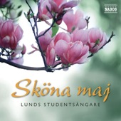 Sköna maj artwork