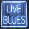 Willie Brown Blues song lyrics