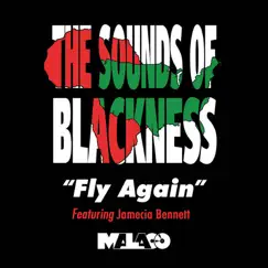 Fly Again (feat. Jamecia Bennett) Song Lyrics