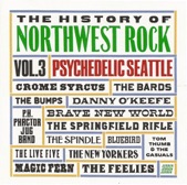 The History of Northwest Rock, Vol. 3 (Psychedelic Seattle), 2000