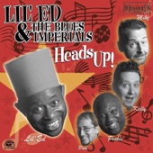 Lil' Ed & The Blues Imperials - Four Leaf Clover