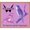 Wolfsheim - The Sparrows and the Nightingales
