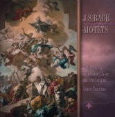 Tafelmusik Chamber Choir, Ivars Taurins & Tafelmusik Baroque Orchestra - Komm, Jesu, komm, BWV 229: Drum schliess ich mich in deine Hande