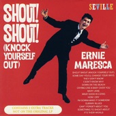 Shout Shout (Knock Yourself Out) artwork