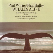 Whales Alive artwork