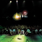 Alice In Chains: Live artwork