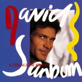 David Sanborn - Chicago Song