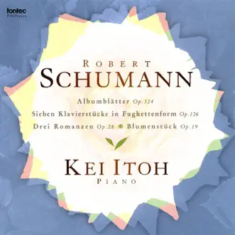 Schumanniana 13 by Kei Itoh album reviews, ratings, credits