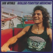 Joe Vitale - Roller Coaster Weekend
