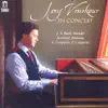 Jory Vinikour in Concert album lyrics, reviews, download