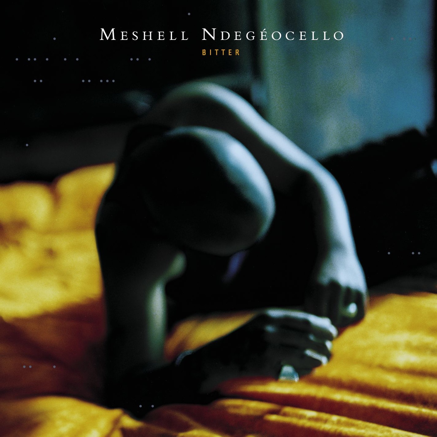 Fool of Me by Meshell Ndegeocello