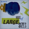 The Best of House of Large Sizes