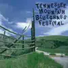 Bob Willis Medley - Take Me Back To Tulsa / San Antonio Rose/Cherokee Maiden / Stay All Night, Stay A Little Longer (Live) [Live] song lyrics