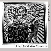 David Wax Museum - The Persimmon Tree