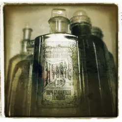 Herbal Tonic (Best Of) - The Herbaliser