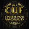 I Wish You Would - Single album lyrics, reviews, download