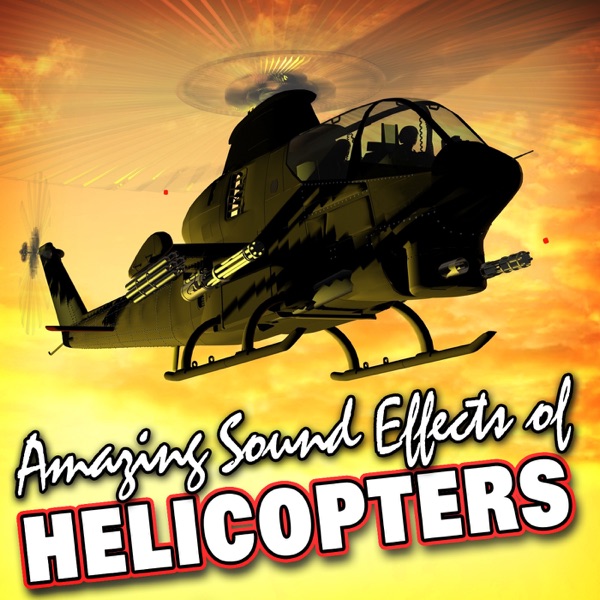Search and Rescue Twin Prop Military Helicopter: External Approach, Land and Throttle Down