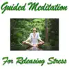 Guided Meditation for Releasing Stress album lyrics, reviews, download