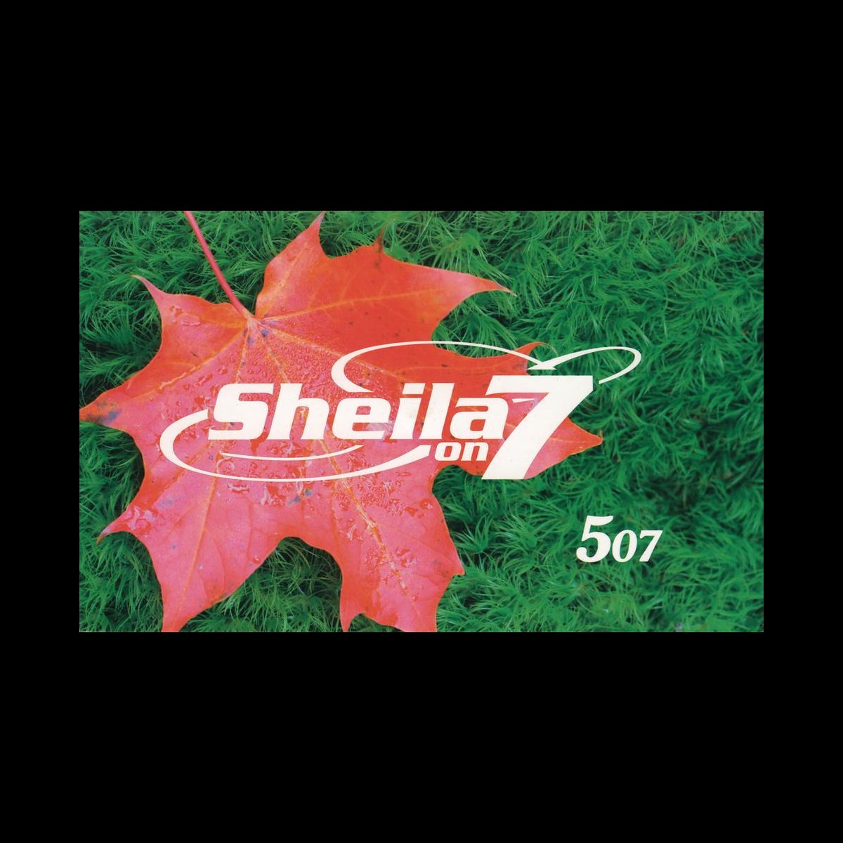 507-by-sheila-on-7-on-apple-music