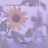 Relaxing Music & the Calming Sounds of Nature, Vol. 6 album lyrics, reviews, download