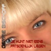 Je Kunt Niet Eens Fatsoenlijk Liegen - Single