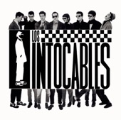 Vinyl Replica: Los Intocables, 2005