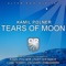 Tears of Moon (Kamil Polner's Energy Mix) - Kamil Polner lyrics