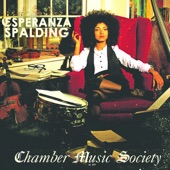 Chamber Music Society artwork