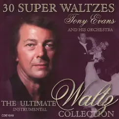 Thorn Birds Love Theme (Waltz) Song Lyrics