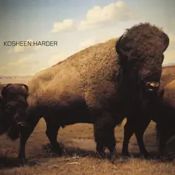 Harder (Technical Itch Remix) - Single - Kosheen