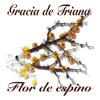 Flor de Espino