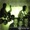The Roha Band - Ambasel
