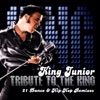 A Tribute to The King [Remix] - Elvis Presley classics for Kidz & Adults to Bop Dance to Club Remixes