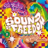 Bob Sinclar - Sound of Freedom (Radio Edit)
