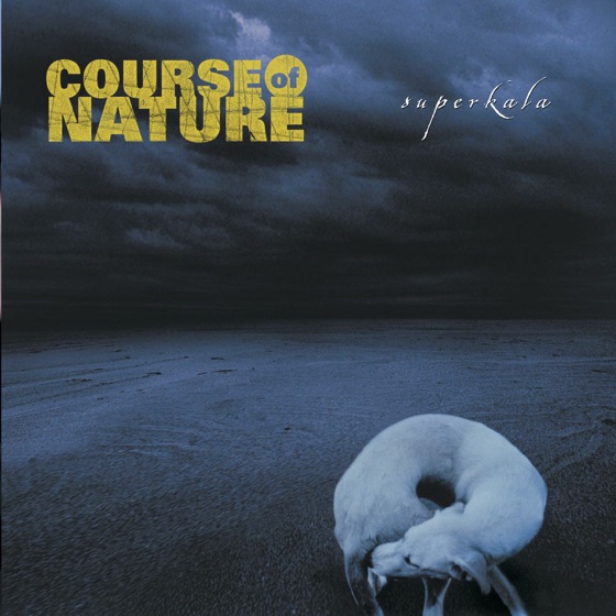 Cover artwork for After the Fall