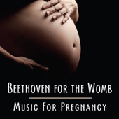 Beethoven for the Womb (Music For Pregnancy) artwork