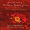 Healing the Wounds of Love - EP