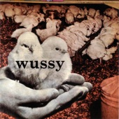 Wussy artwork