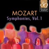 Mainz Chamber Orchestra & Gunter Kehr - Symphony No. 25, K. 183: I. Allegro con brio