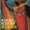 Mambo#5 (Yo Quiero Mambo) cover