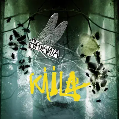 Kiila - Apulanta