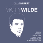 Marty Wilde - A Teenager In Love