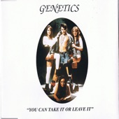 You Can Take It Or Leave It (Radio Mix) artwork