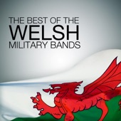The Best of the Welsh Military Bands (Live) artwork